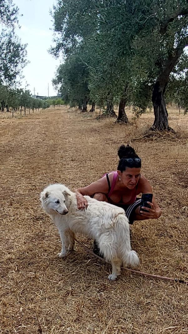 Nonna Penny Cerca Famiglia. Info Monica 3890238584 Foto 5